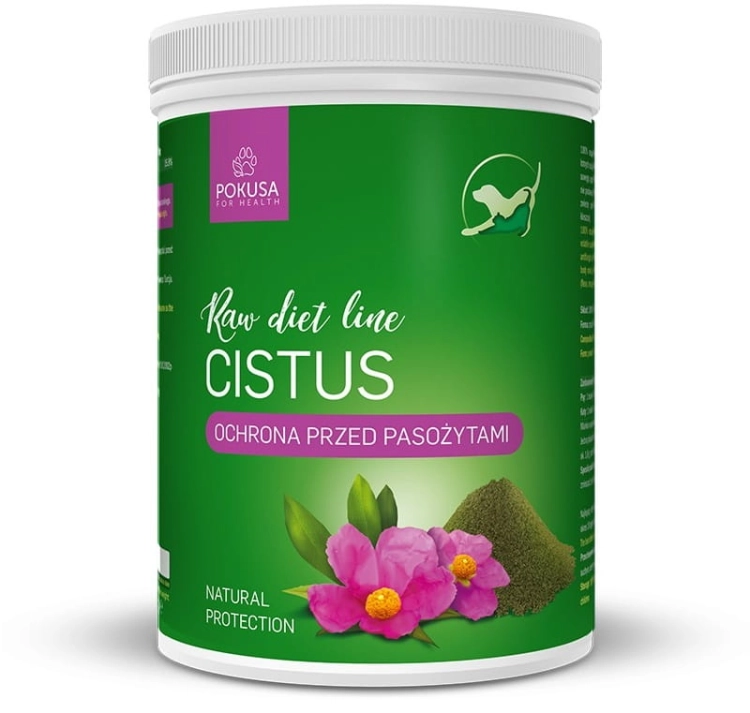 rawdietline-czystek-cistus (1).jpg