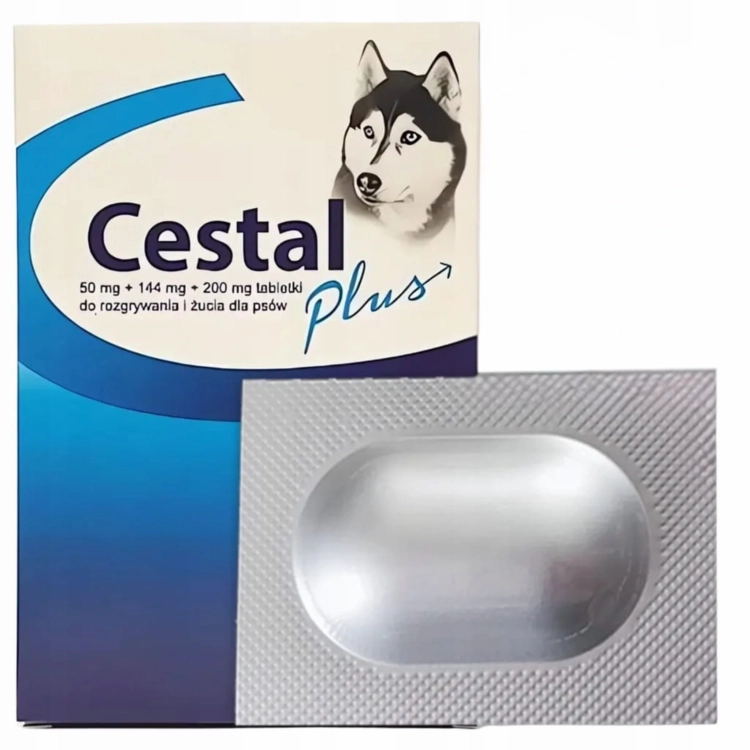 CESTAL Plus Tabletki Na Paso yty Robaki Skuteczne Odrobaczenie Psa 1 cestal-plus-tabletki-na-paso-yty-robaki-skuteczne-odrobaczenie-psa-1
