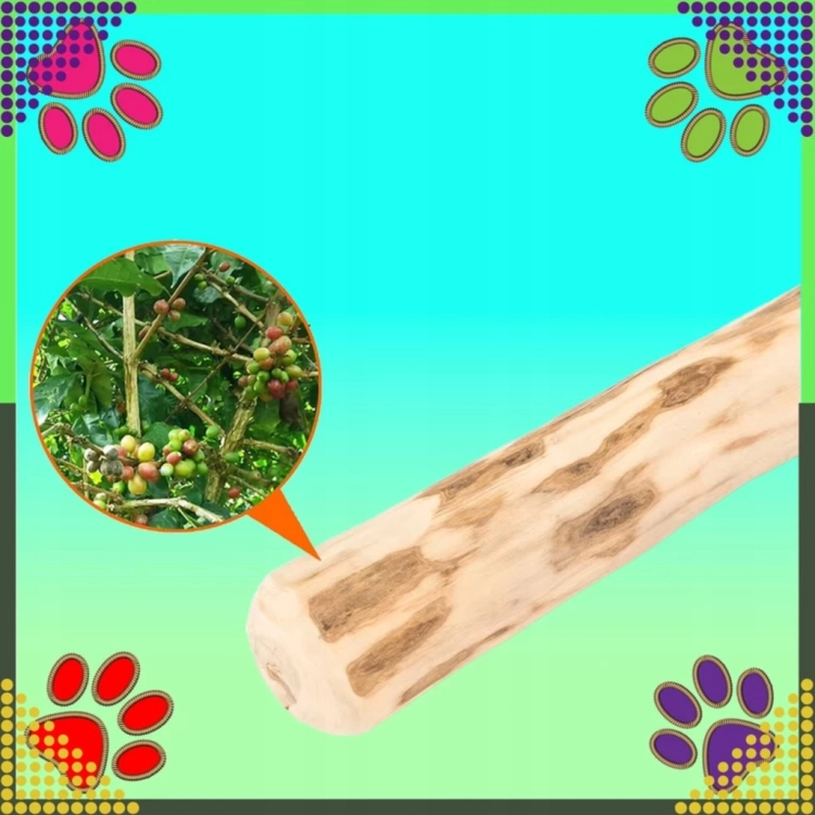 b6627c80dcdb74366ef6f2e52cf0e47f
